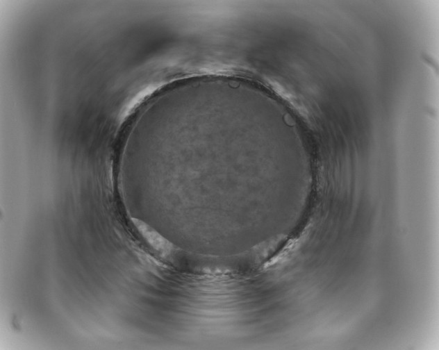 X0000096471214200801241421