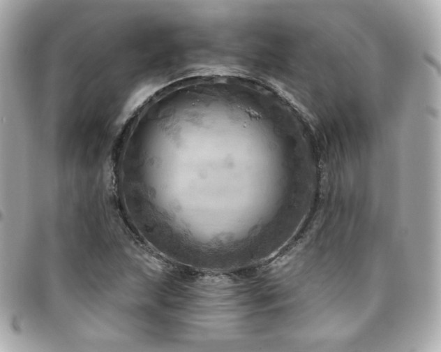 X0000096471215200801241421