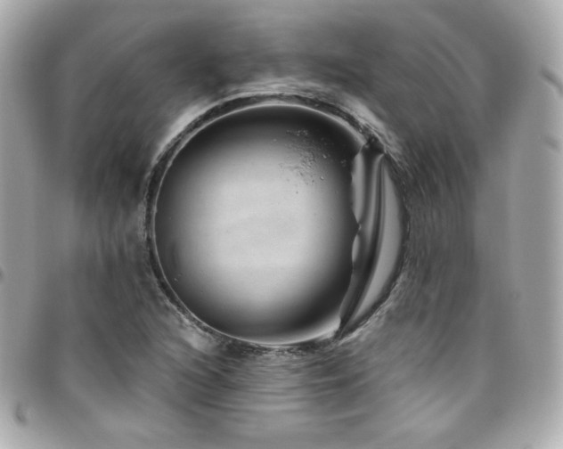 X0000096471216200801241421