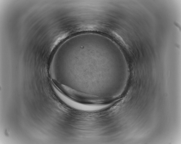 X0000096471218200801241421