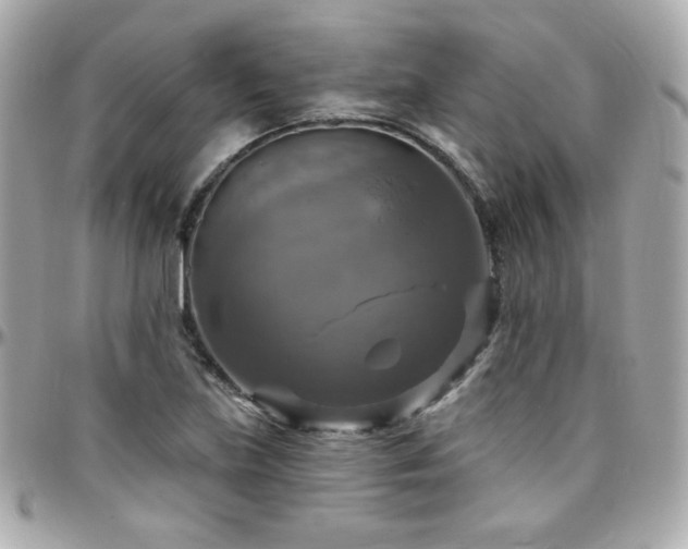 X0000096471219200801241421