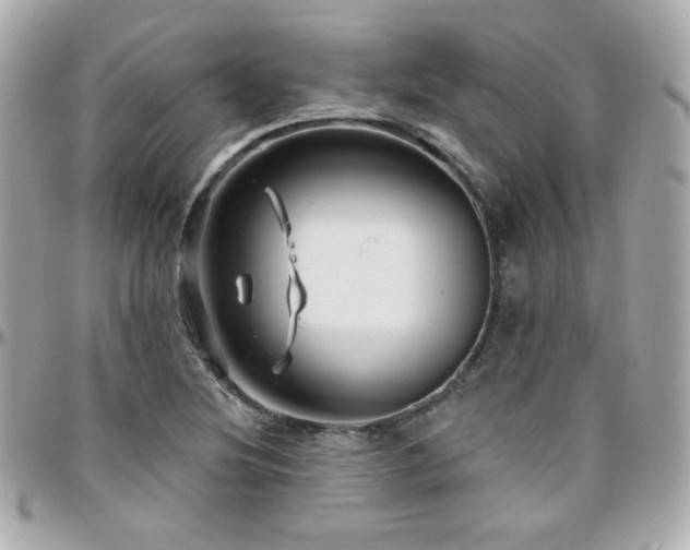 X0000096471220200801241421