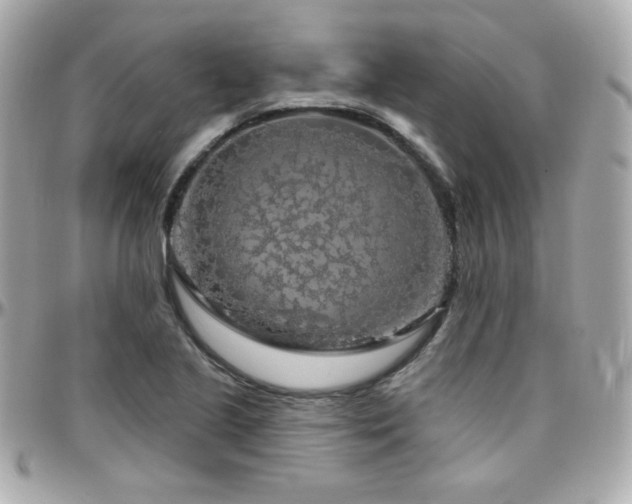 X0000096471221200801241421