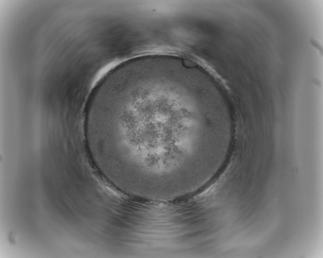 X0000096471222200801241421