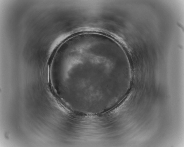 X0000096471223200801241421