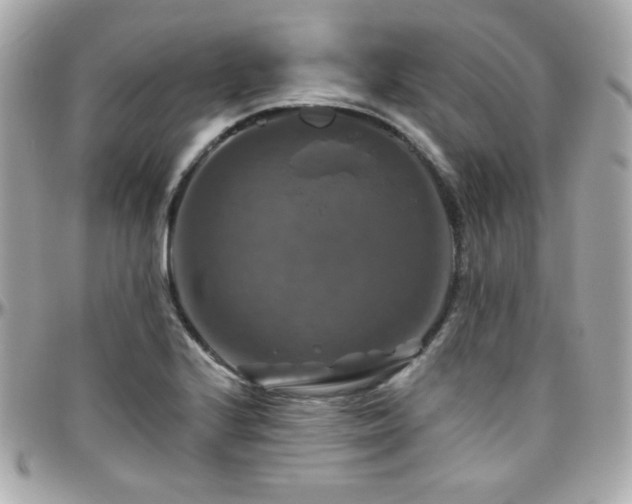 X0000096471224200801241421