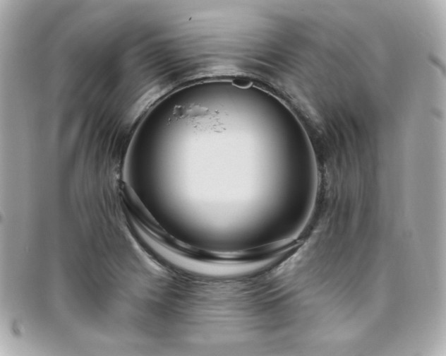 X0000096471225200801241422