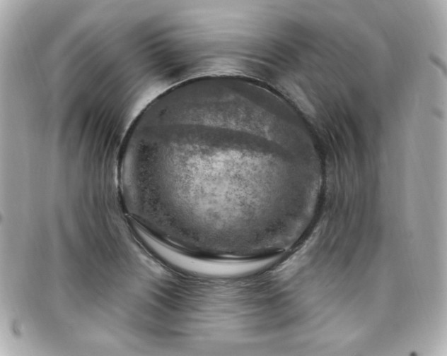 X0000096471226200801241422