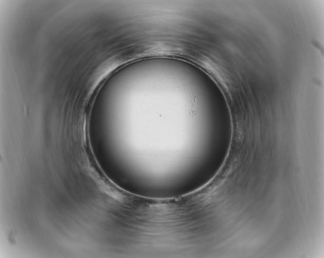 X0000096471227200801241422