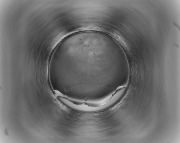 X0000096471228200801241422