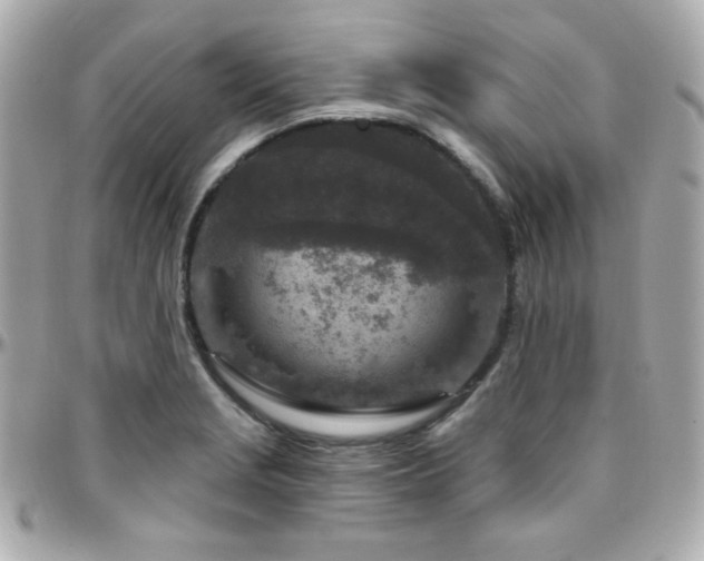 X0000096471229200801241422