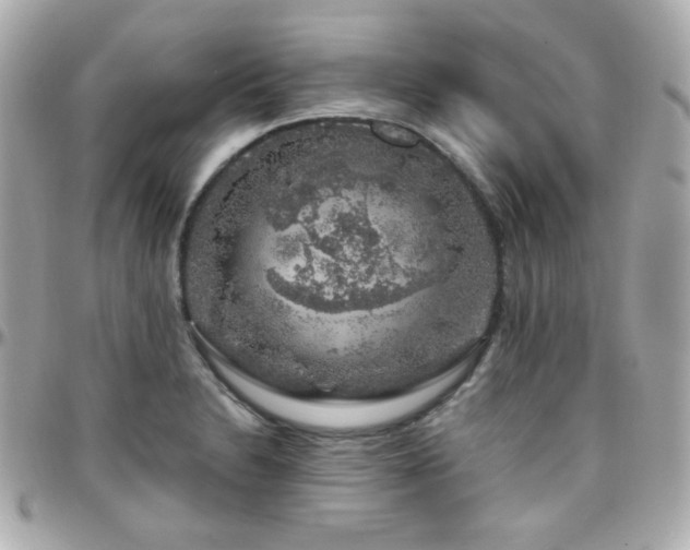 X0000096471230200801241422