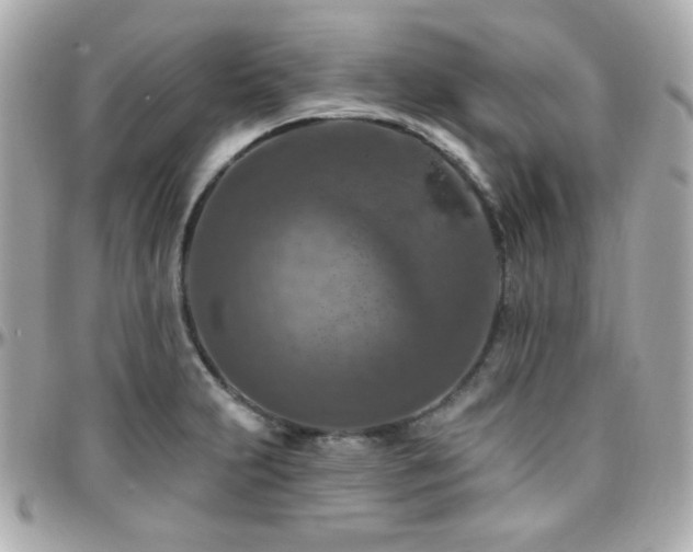 X0000096471231200801241422