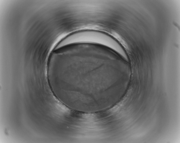 X0000096471232200801241422