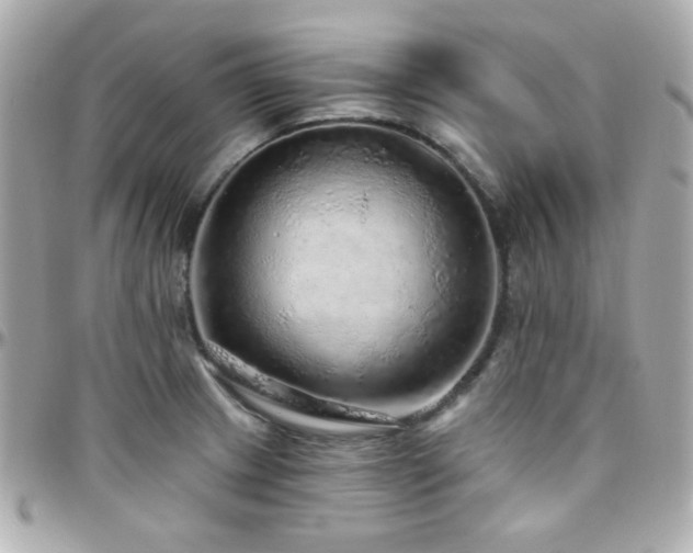 X0000096471233200801241422