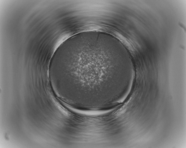 X0000096471234200801241422