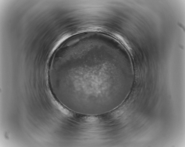 X0000096471235200801241422