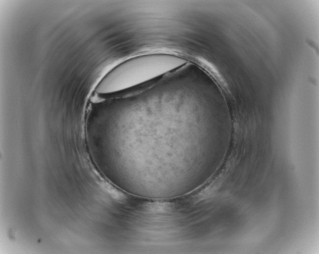 X0000096471236200801241422