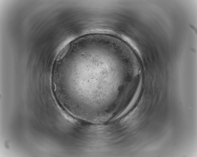 X0000096471237200801241422