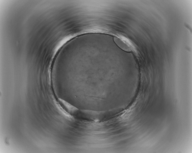 X0000096471238200801241422