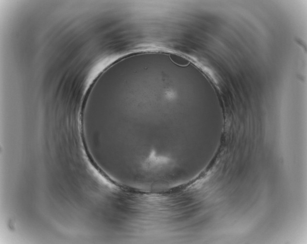 X0000096471239200801241422