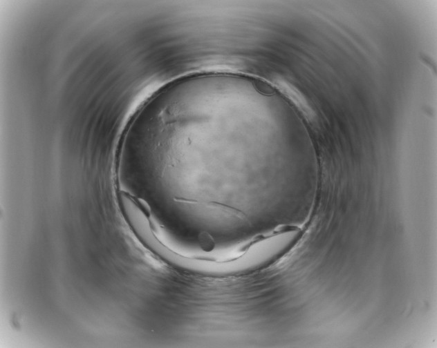 X0000096471240200801241422