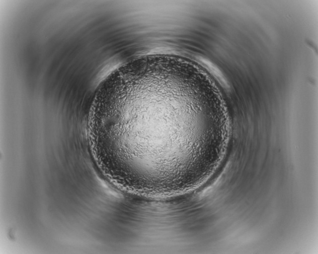 X0000096471241200801241422