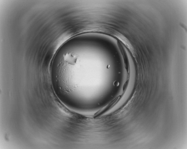 X0000096471242200801241422