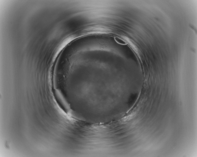 X0000096471243200801241422