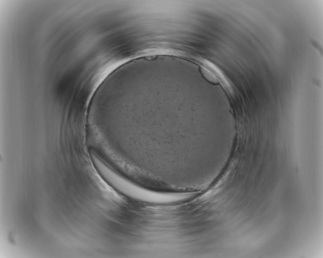 X0000096471244200801241422