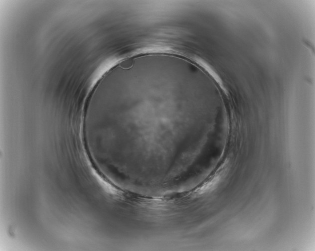 X0000096471245200801241422