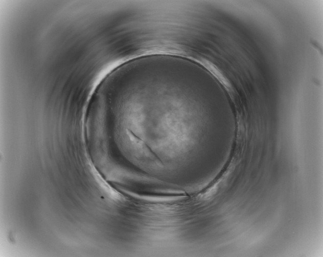 X0000096471246200801241422