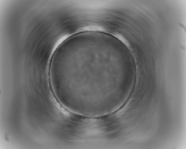 X0000096471248200801241422