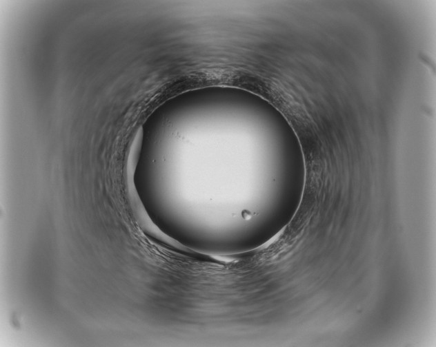 X0000096471249200801241421