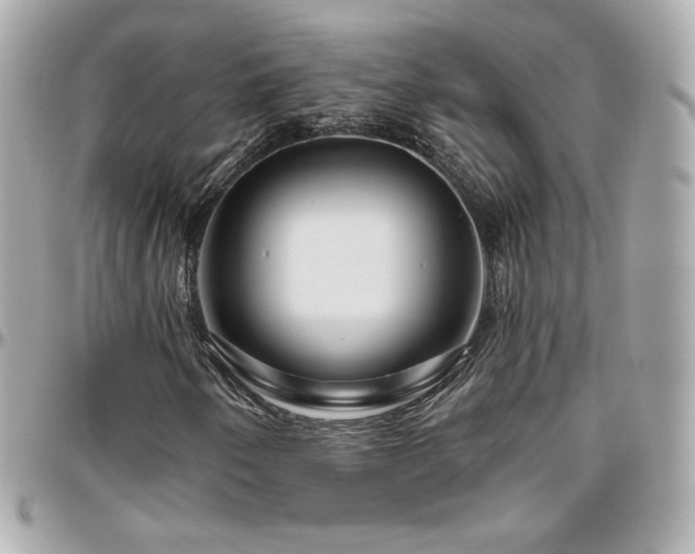 X0000096471250200801241421