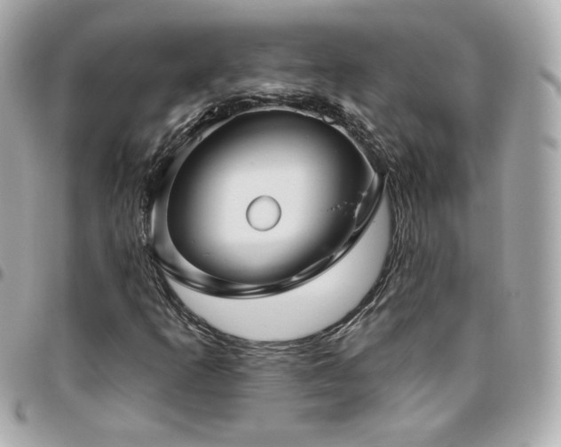 X0000096471253200801241421