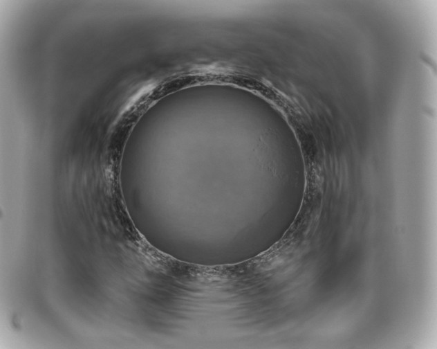 X0000096471254200801241421