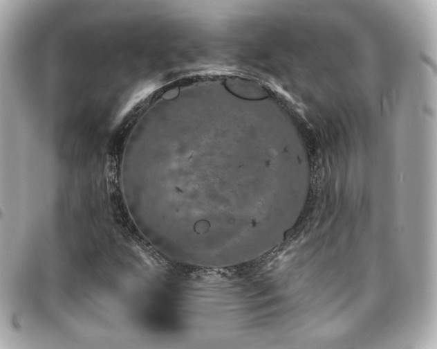 X0000096471255200801241421