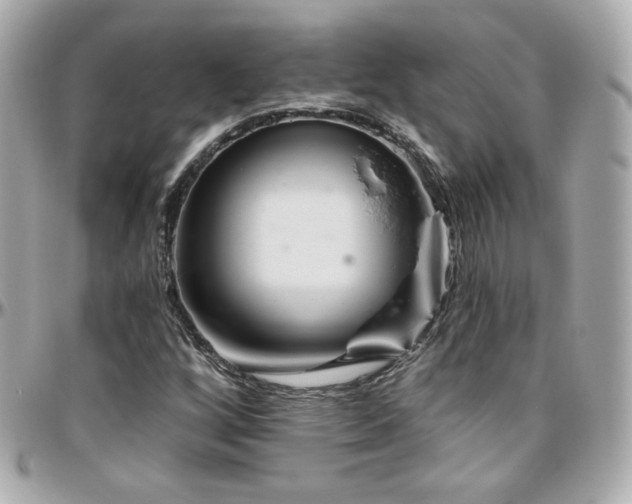 X0000096471256200801241421