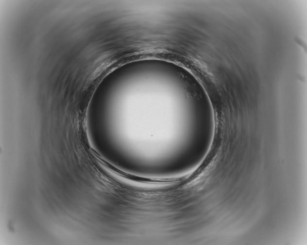 X0000096471257200801241421