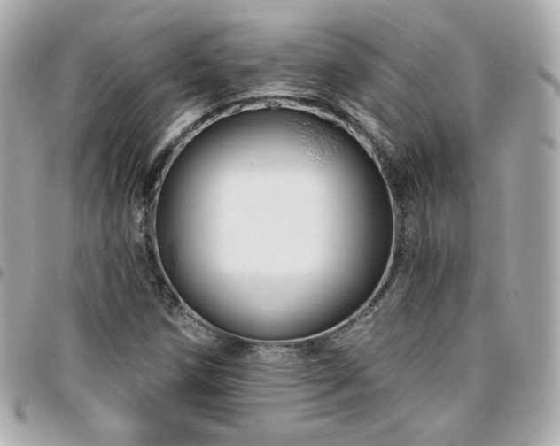 X0000096471258200801241421