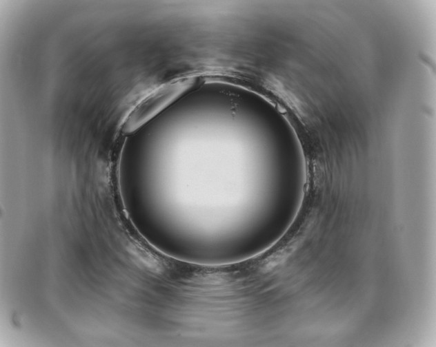 X0000096471260200801241421