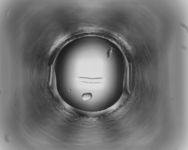 X0000096471261200801241421