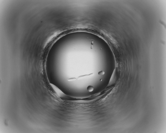 X0000096471262200801241421