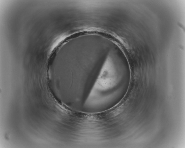 X0000096471263200801241421