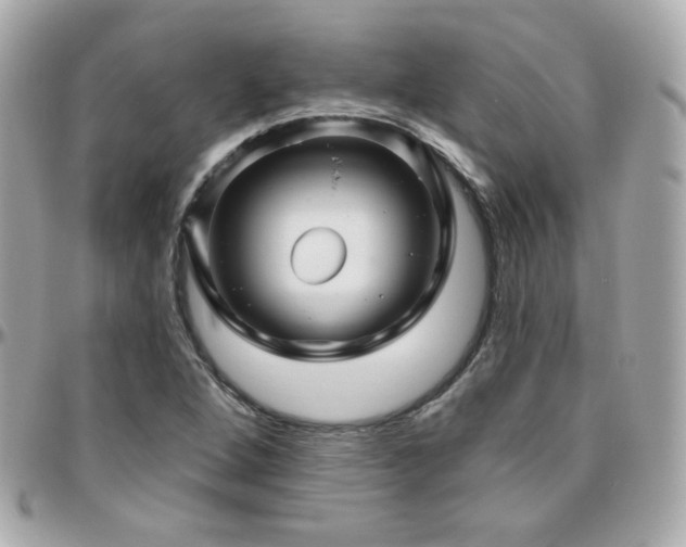 X0000096471264200801241421