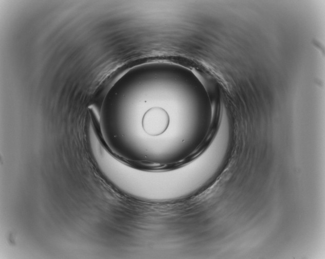 X0000096471265200801241421