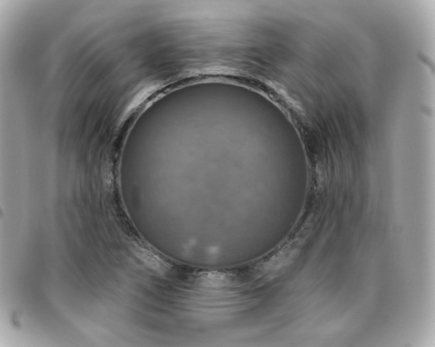 X0000096471266200801241421