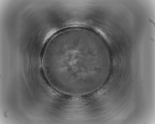 X0000096471267200801241421