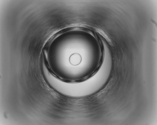 X0000096471268200801241421